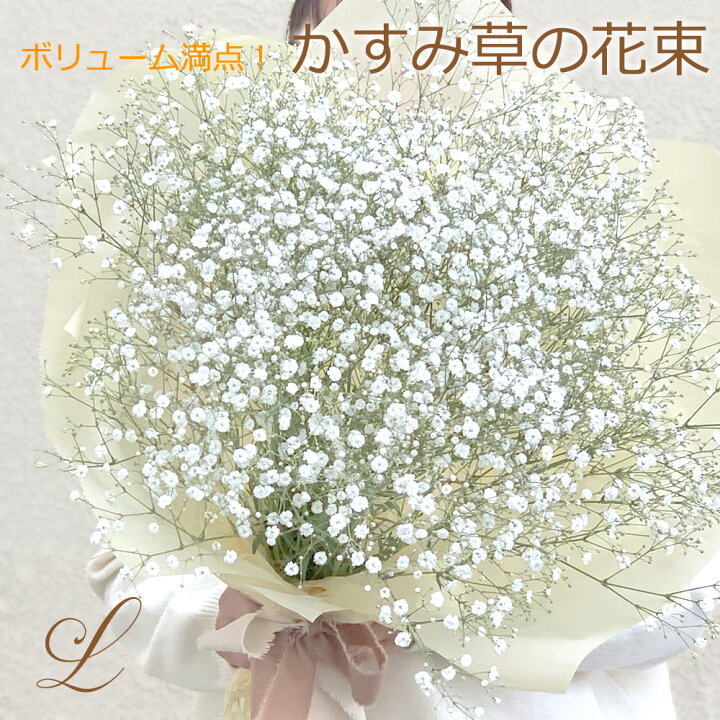 楽天市場 ボリューム満点 かすみ草 超ボリュームブーケ お洒落 簡単ドライフラワーにできる カスミソウ 花束 シンプル ナチュラルブーケ 人気 お誕生日 かわいい 笑顔になる 自分へのご褒美 結婚祝い 送料無料 フローラルライフ 花と雑貨ギフト
