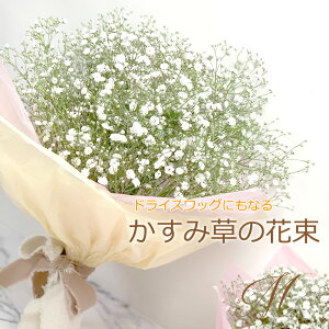 ݑ {[u[P  ȒPhCt[ XbOɂł JX~\E ԑ Vv i`u[P lC a 킢 ΊɂȂ ւ̂J j 