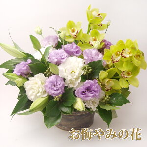     䋟 Mtg m a AWg V  l\@v @  tH[l ~ ~ ފ     r J[h bZ[