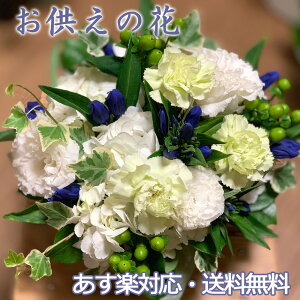      䋟 ܂ Mtg m a AWg V  l\@v @  tH[l ~ ~ ފ     r J