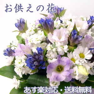     䋟 ܂ Mtg m a AWg V  l\@v @  tH[l ~ ~ ފ     r J[h 