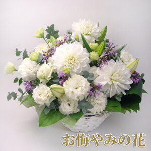     䋟 Mtg m a AWg V  l\@v @  tH[l ~ ~ ފ     r J[h bZ[