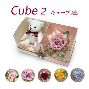 vU[uht[ L[u Mtg    a XtXL[ ͂Ȃ jd  d j a j oYj ʂ uU[h t[ uU