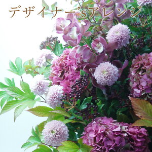 fUCi[I  Mtg a p v[g  AW t[Mtg j jd d a G߂̉ jd  oYj LO LO  W \ 