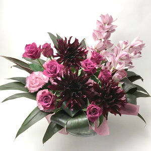  Mtg hV̓ a v[g  AW t[Mtg j jd d a G߂̉ jd  ʂݓd oYj LO LO  W \ 