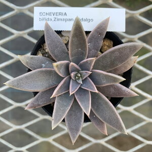 GPxA yrtB_@W}p@C_Sz P[XЎq c@