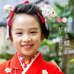 yΗpzƒ̃r[Yr񂴂y܎Oz