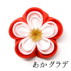 y73Όpzneŵ͂ȃNbvy܂ݍ׍Hz܎O @񂴂@Nbv@V[g