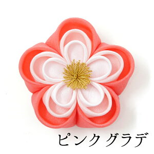 y73Όpzneŵ͂ȃNbvy܂ݍ׍Hz܎O @񂴂@Nbv@V[g