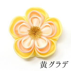 y73Όpzneŵ͂ȃNbvy܂ݍ׍Hz܎O @񂴂@Nbv@V[g