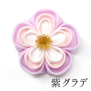 y73Όpzneŵ͂ȃNbvy܂ݍ׍Hz܎O @񂴂@Nbv@V[g