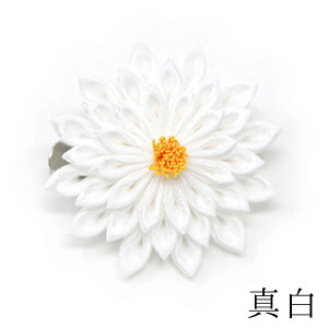 deNbvy܎Ozylzyzyn̓zdeNbvy܎Ozylzyzyn̓z 񂴂