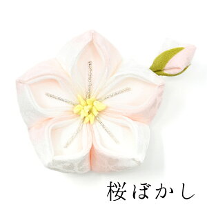 j[wANbv RT[Wst / wAANZT[ ܂ݍ׍H 񂴂 wAANZ  wANbv čՂ ԉ ԉΑ