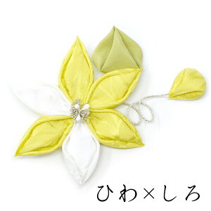 SiN}`XjNbv/  wAANZT[ ܂ݍ׍H  Õz RT[W 񂴂 ͂΂IWi