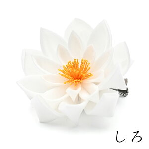 s2025Vt @NbvyzwAANZT[ ANZT[yRT[Wz