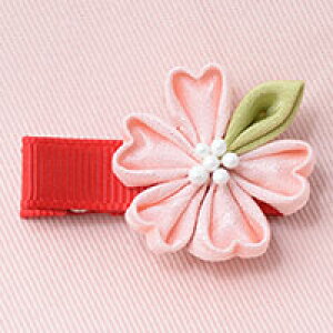 oYj {Q ܎O  @܂ݍ׍H̃xr[Nbv@y܎O  zq rq Ԃ 񂴂 {  Mtg v[g V  wAANZ