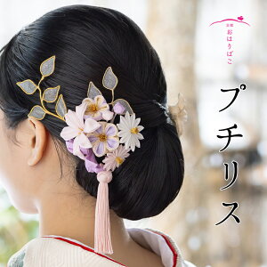 yv`Xzl   U葳 Ǝ 񂴂 ܂ݍ׍H  uC_  Ԃ񂴂