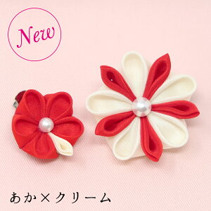 ܂ݍ׍H SҌIy25tz ؂̃u[`tNbv~̃Nbv 2Zbg yޗSzLbg RT[W  