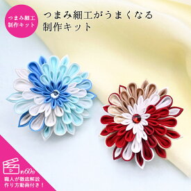 新色登場！つまみ細工 がうまくなる制作キット 材料＆約60分の動画付き！ おうち時間 おうちじかん