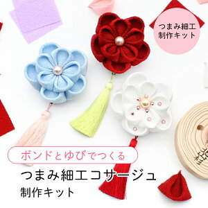 y10%OFFI12/4 20:00 - 12/11 1:59zy悠z܂莆oō܂ݍ׍H̃RT[WLbgysZbgEłՂЕsvIz