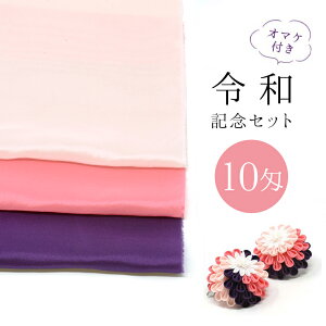 jEߘaIߘaJ[Hd10×3FZbg ܂ݍ׍Hޗ  