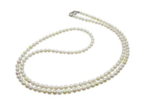 AR^ xr[p[ Z~ O lbNX 4.5-5.0mm 80cm zCg  {^ ^ ^ p[ OlbNX Mtg v[g tH[} JWA 