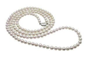 AR^ O lbNX 7.5-8.0mm 120cm zCgsN  {^ ^ ^ p[ OlbNX Mtg v[g tH[} JWA 