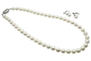 AR^ lWol COisAXjlbNX Zbg 8.0-8.5mm zCg  {^ ^ ^ p[ Mtg v[g tH[} JWA 