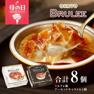 オハヨー乳業 ブリュレ アイス ギフト アイスクリーム 詰め合わせ 8個入 BRULEE [ミルク4個 アーモンドキ…