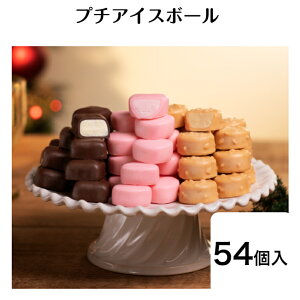v`ACX{[@ACXN[ In[ lߍ킹 `R[g ЂƂACX v`ACX Mtg 蕨 i j a  Ԃ ԗi v[g XC[c ACX
