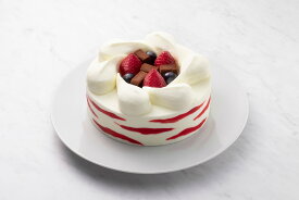 生チョコ＆ベリーのアイスクリームケーキ　アイスクリーム オハヨー乳業 詰め合わせ アイスケーキ チョコレート 生チョコ ギフト 贈り物 贈答品 お祝い 誕生日 お礼 お返し 返礼品 プレゼント スイーツ アイス アイスクリーム クリスマス お歳暮