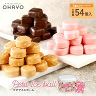 オハヨー乳業 お歳暮 プチアイスボール チョコ 2026 [3種各18個計54個] アイスクリーム 詰め合わせ マダ…
