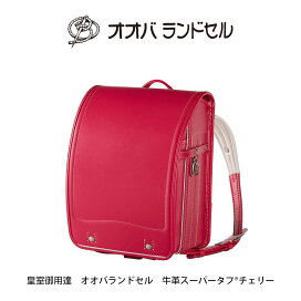 楽天市場】 昨年までのモデル (アウトレット) : オオバランドセル公式 