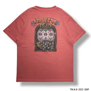 �y RIVER SIDE CULTURE / GRATEFULL DEAD Tee / �s���N �z���o�[�T�C�h�J���`���[ ���� T�V���c �O���C�g�t�� �f�b�h �s�O�����g �E�H�b�V�����H �s���N