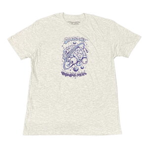 �y ANTI HERO / GRIMPLESTIX SPACED OUT S/S TEE / ASH �z �A���^�C�q�[���[ �A���`�q�[���[ ���� T�V���c �A�b�V�� �O���[ �D �X�P�[�g�{�[�h