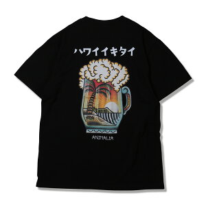 �y ANIMALIA / I'd like to go to Hawaii / BLACK �z �A�j�}���A �n���C �썑 �r�[�� �� ���� T�V���c �u���b�N �� ��������