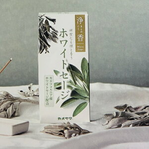 yJ}zp@򍁁@߂@zCgZ[W