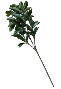 yԁzyԁzyԎ}zsvI{IVL~@