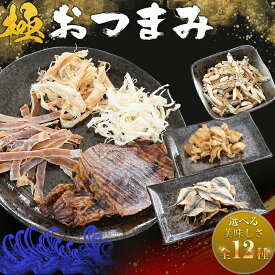 【期間限定900円～★さらに当商品2セット購入で全19種から1種おまけつき】リニューアルして新発売！セット内容を選べる！ 珍味 極おつまみセット！ 送料無料 おつまみセット するめ あたりめ さきいか 酒のつまみ おつまみ お菓子 おかし