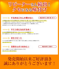 「直火焼するめ」【メール便発送】【するめいか】【スルメイカ】【送料無料】【おつまみ】【珍味】【酒のつまみ】【イカ】【いか】