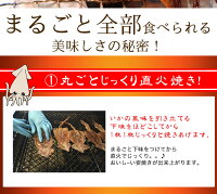 「直火焼するめ」【メール便発送】【するめいか】【スルメイカ】【送料無料】【おつまみ】【珍味】【酒のつまみ】【イカ】【いか】