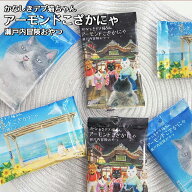 珍味 27gかなしきデブ猫ちゃんアーモンドこざかにゃ 送料無料