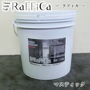 tBJ(Otona Joshi Wall)@}XeBbN@4kg(6/3h)yz