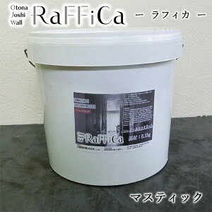 tBJ(Otona Joshi Wall)@}XeBbN@8kg(12/3h)yz