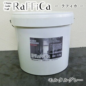 tBJ(Otona Joshi Wall)@^O[@8kg(12/3h)yz