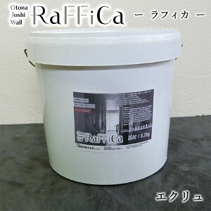 tBJ(Otona Joshi Wall)@GN@8kg(12/3h)yz