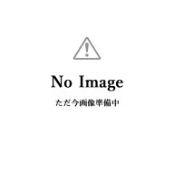 浸透性シーラー(新) 　16kgセット(約100平米/1回塗り)　日本ペイント