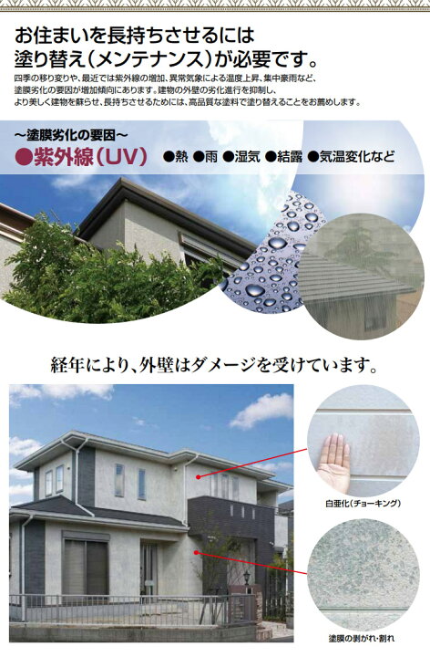 楽天市場】エスケープレミアムシリコン 標準色SRカラー 各艶 15kg 