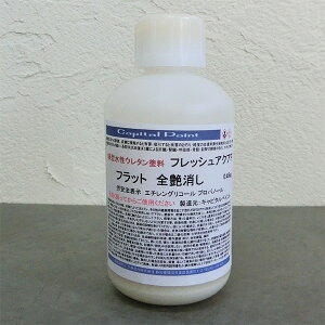 �t���b�V���A�N�AF�@�d�グ�N���A�[�@0.45kg(3����/2��h��j�@�����p/����/�E���^��/���ϋv/�L���s�^���y�C���g