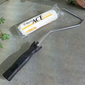 Micro ACE(}CNG[X)@17~я@6C`[[ƃnhZbg